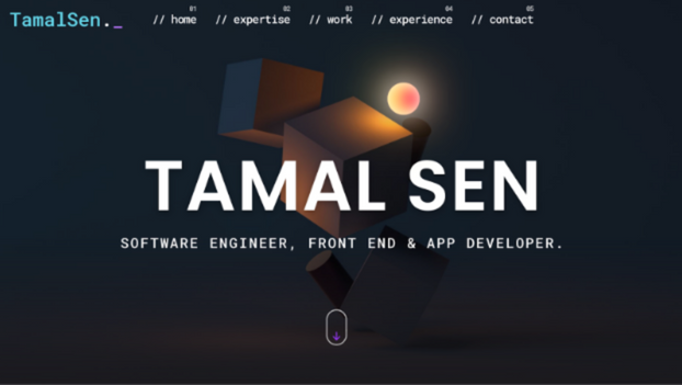 Tamal Sen Website Home Page ScreenShot